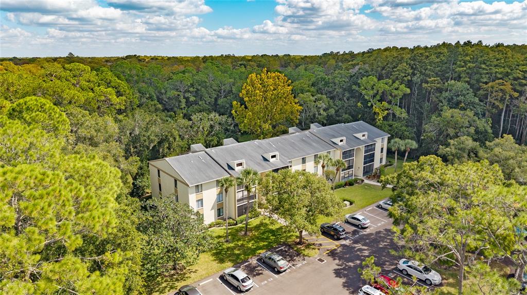 An aerial view shows a multi-story apartment building surrounded by dense trees and parking — 3232 LAKE PINE WAY E UNIT F2, TARPON SPRINGS, FL