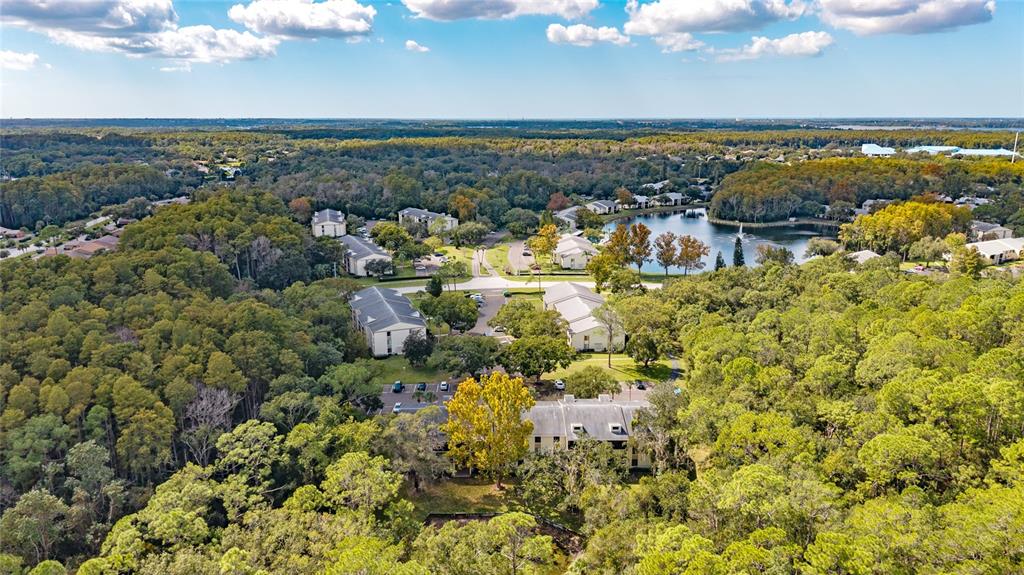 An aerial view shows several apartment buildings surrounded by dense forest and a small lake — 3232 LAKE PINE WAY E UNIT F2, TARPON SPRINGS, FL