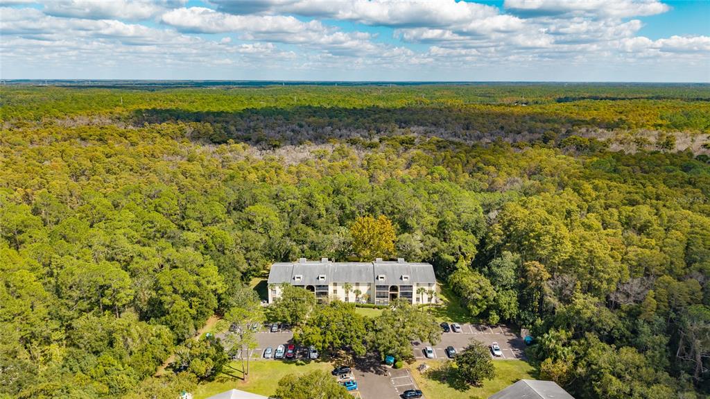 An aerial view shows a multi-story apartment building surrounded by a dense forest — 3232 LAKE PINE WAY E UNIT F2, TARPON SPRINGS, FL