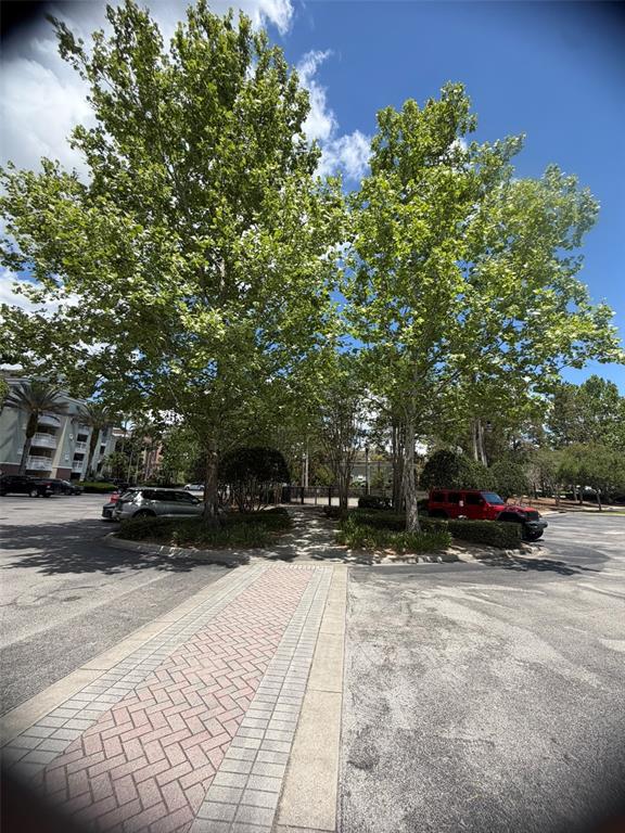 A paved walkway leads between two large trees in a parking lot near apartment buildings — 7656 WHISPER WAY UNIT 401, REUNION, FL