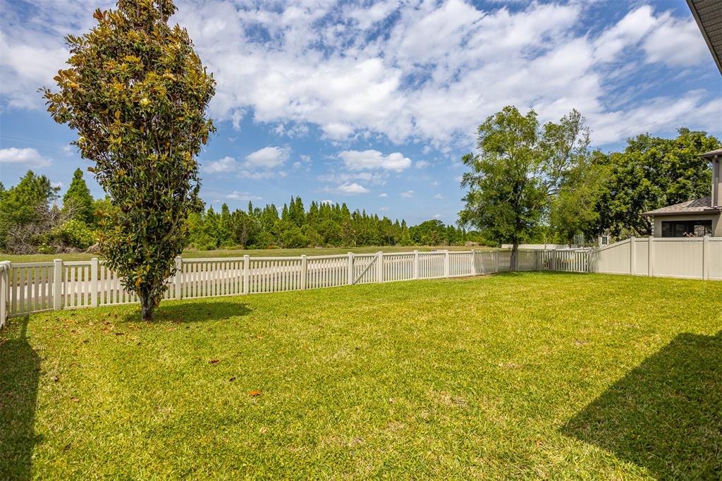 A grassy backyard features a white vinyl fence, a single tree, and a wooded background — 11511 PALMETTO PINE STREET, RIVERVIEW, FL