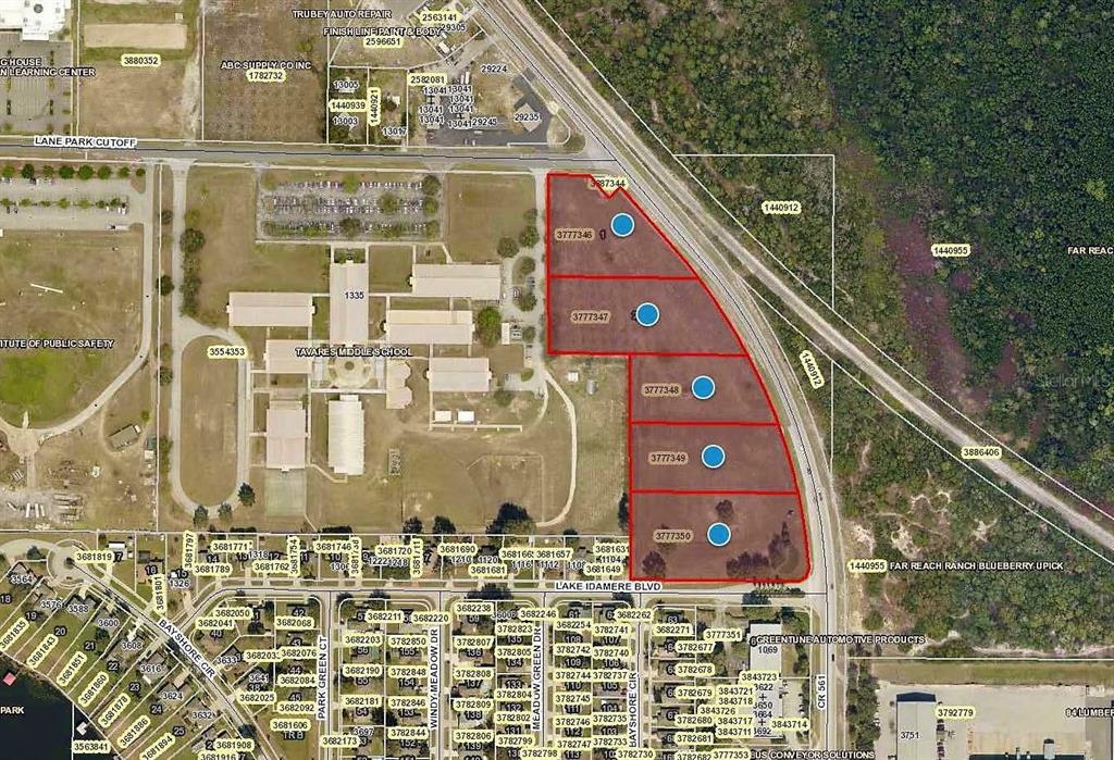 This is an aerial map showing a large, multi-parcel plot of land outlined in red — CR 561 & LANE PARK CUTOFF, TAVARES, FL
