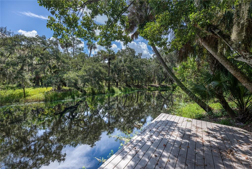 113 JANE CREEK