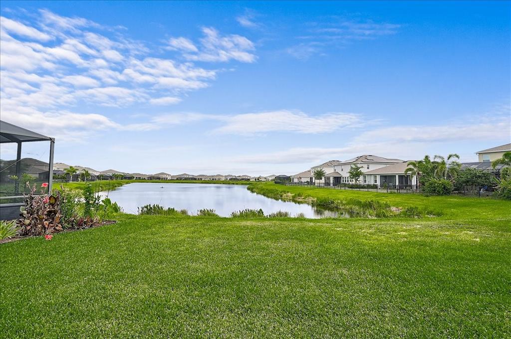 A grassy backyard overlooks a pond with residential houses in the background under a blue sky — 12664 NIGHT VIEW DRIVE, SARASOTA, FL