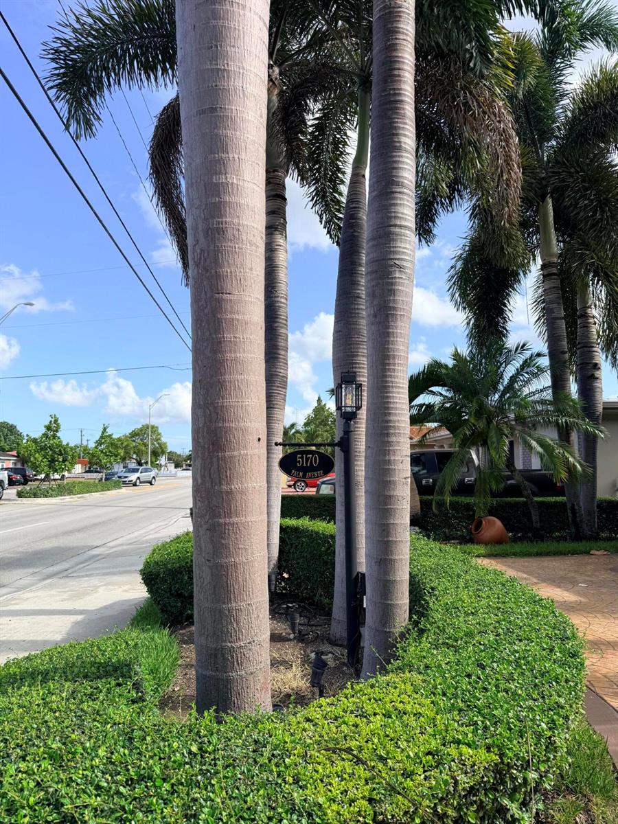 A street-level view shows palm trees, a house number sign, and a manicured hedge — 5170 Palm Avenue, Hialeah FL 33012, HIALEAH, FL
