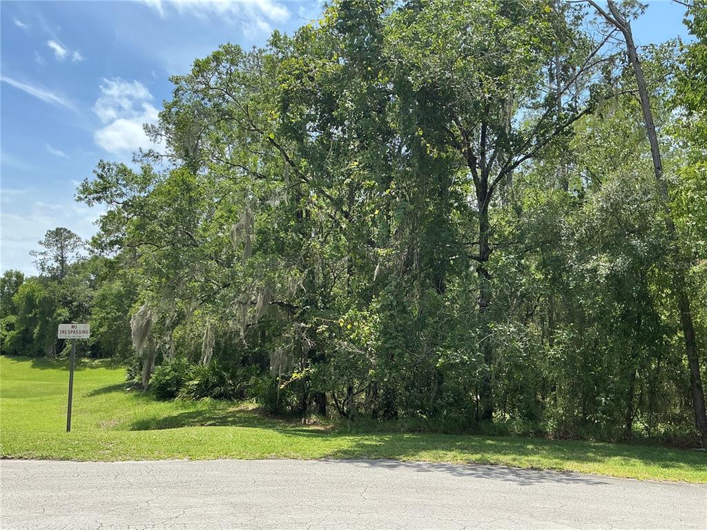 A grassy lot with dense trees and a no trespassing sign along a paved road — SW 90TH PLACE, DUNNELLON, FL