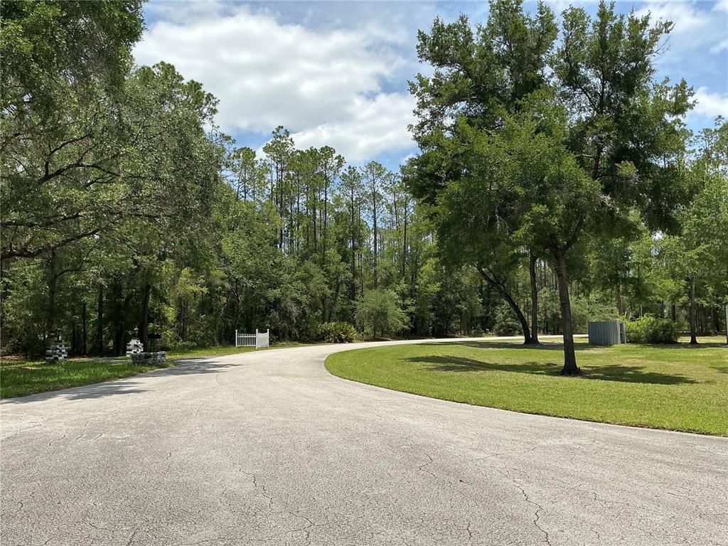 A paved driveway curves through a grassy yard toward a dense forest of trees — SW 90TH PLACE, DUNNELLON, FL