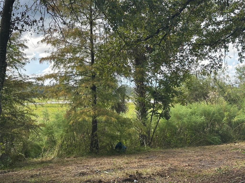 6661 E TURNER CAMP ROAD, INVERNESS, FL — photo 2 of 5