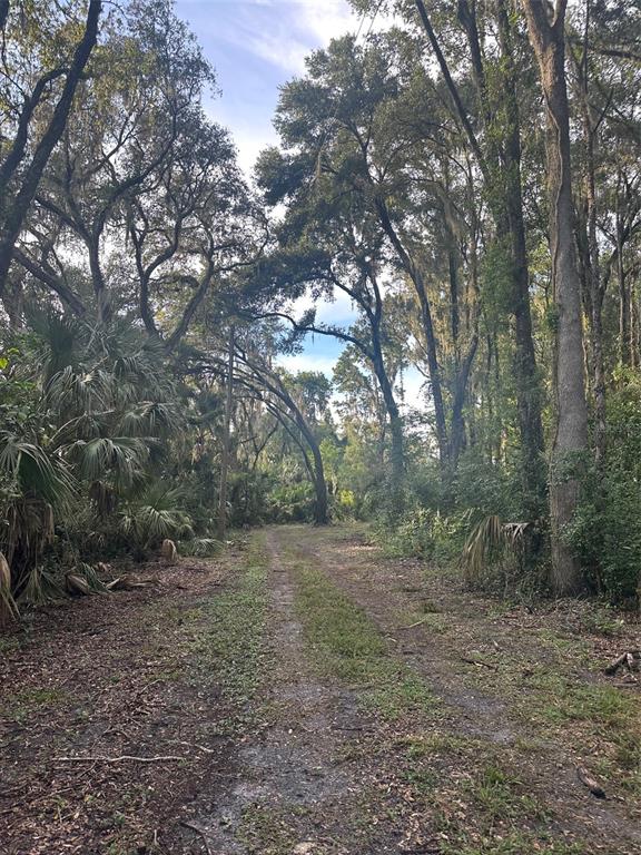 6661 E TURNER CAMP ROAD, INVERNESS, FL — photo 3 of 5