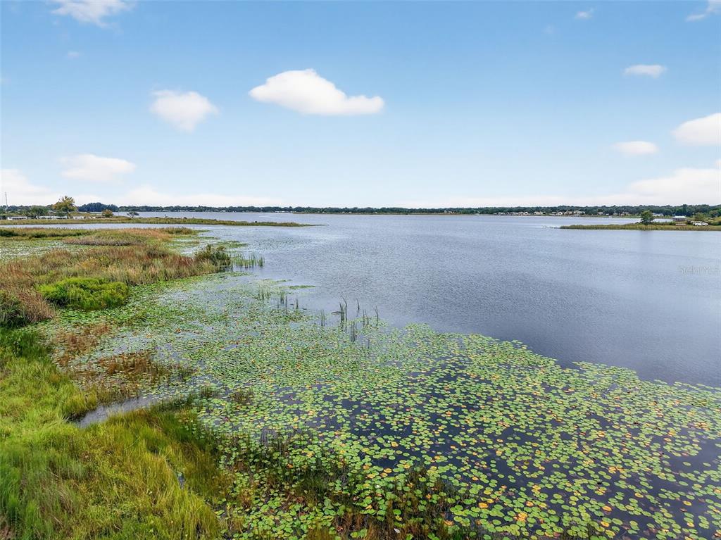 A wide view of a lake with lily pads in the foreground and grassy banks — AMVETS WAY, MOUNT DORA, FL