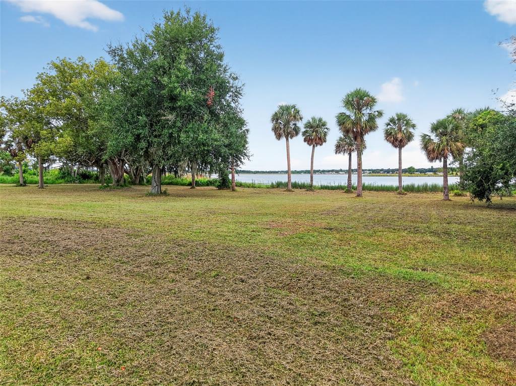 A grassy field leads to a line of palm trees and a lake in the distance — AMVETS WAY, MOUNT DORA, FL