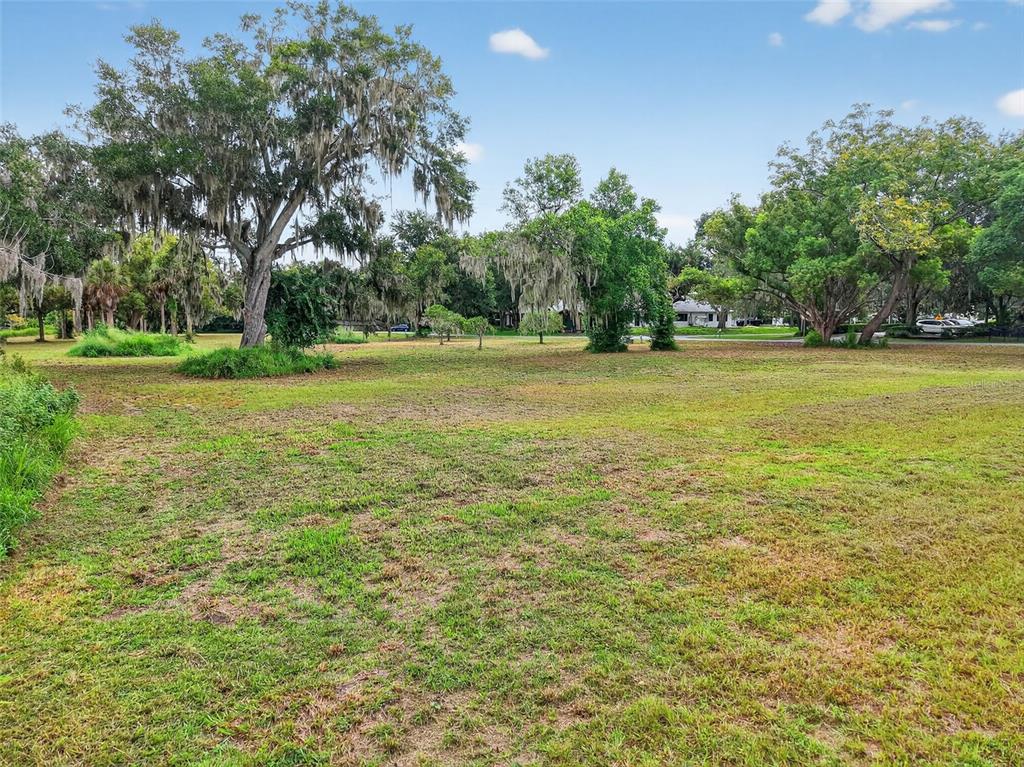 A grassy, open lot features several large, moss-draped oak trees under a blue sky — AMVETS WAY, MOUNT DORA, FL