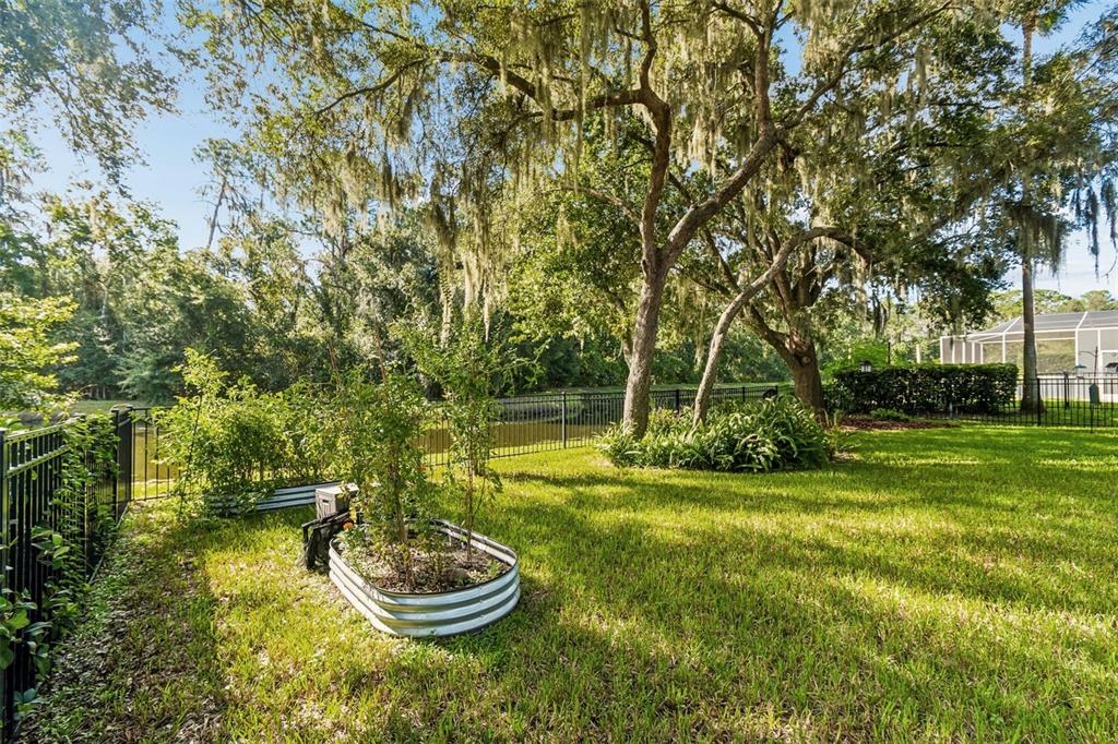 A backyard features a metal raised garden bed, green lawn, and large trees near a fence — 3618 CORDGRASS DRIVE, VALRICO, FL