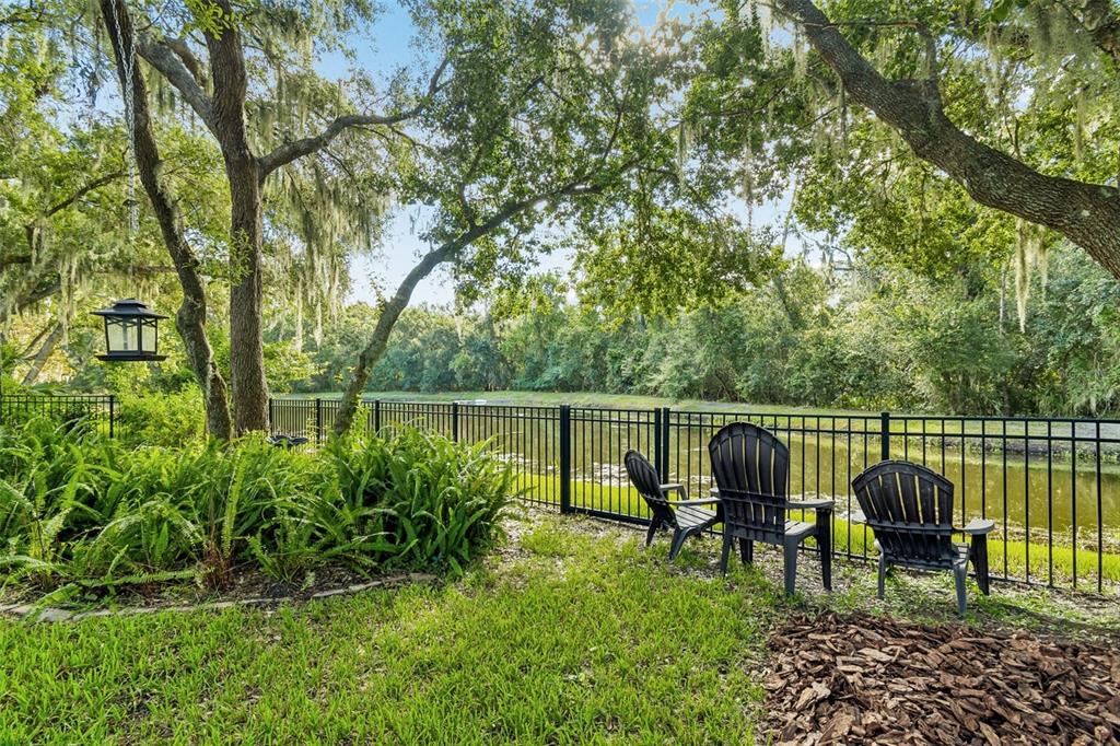 A backyard with a black metal fence, three Adirondack chairs, and a view of a pond — 3618 CORDGRASS DRIVE, VALRICO, FL