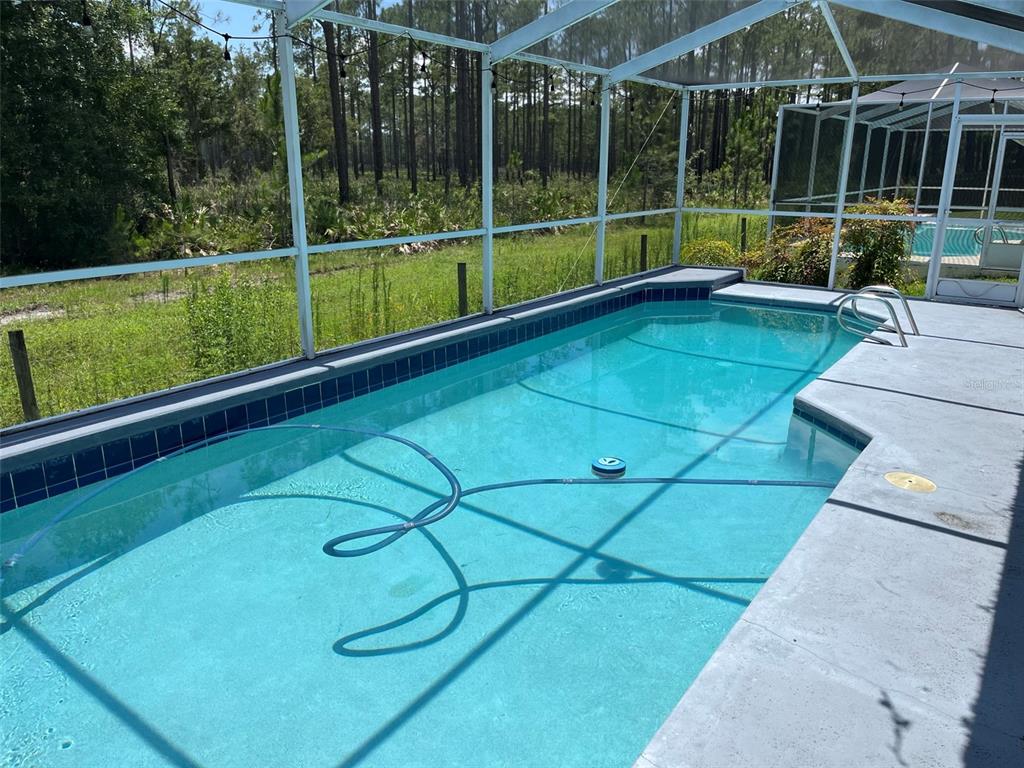 A screened-in rectangular swimming pool with a blue tile border sits beside a wooded area — 9411 WILLOW COVE COURT, TAMPA, FL