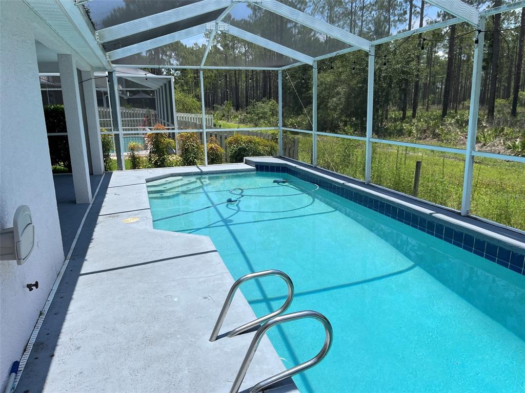 A screened-in swimming pool with a concrete deck and a view of a wooded area — 9411 WILLOW COVE COURT, TAMPA, FL