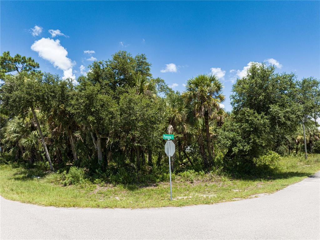 A street sign stands at a corner lot filled with dense trees and palm plants — POMONA CT, NORTH PORT, FL