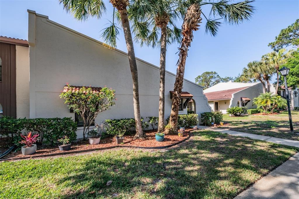 The exterior of a beige residential building features palm trees and a landscaped garden bed — 3505 TARPON WOODS BOULEVARD UNIT N401, PALM HARBOR, FL