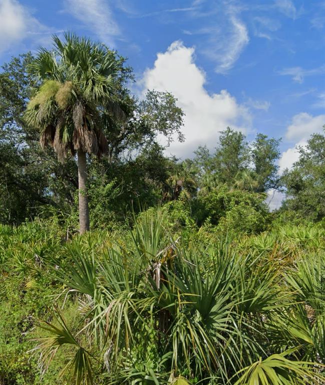 A tall cabbage palm tree stands in a field of dense, low-lying saw palmetto shrubs — 1226 SULSTONE DRIVE, PUNTA GORDA, FL