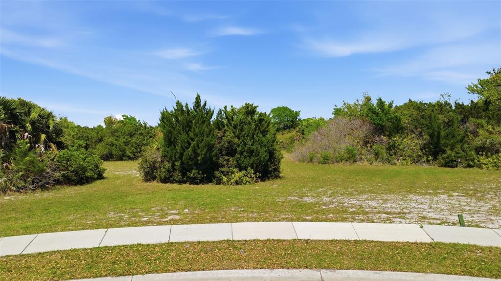 A vacant, grassy lot with native shrubs and trees sits behind a curved concrete sidewalk — 151 N LAKEWALK DRIVE, PALM COAST, FL