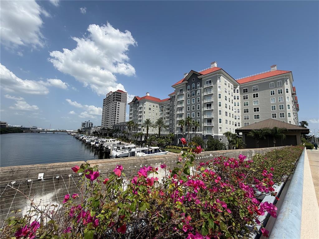 A view of a waterfront apartment complex with a marina and blooming bougainvillea in foreground — 700 S HARBOUR ISLAND BOULEVARD UNIT 512, TAMPA, FL