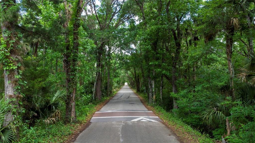 A paved road stretches through a dense, tree-lined forest with a speed bump in front — 651 S COUNTY ROAD 13, ORLANDO, FL