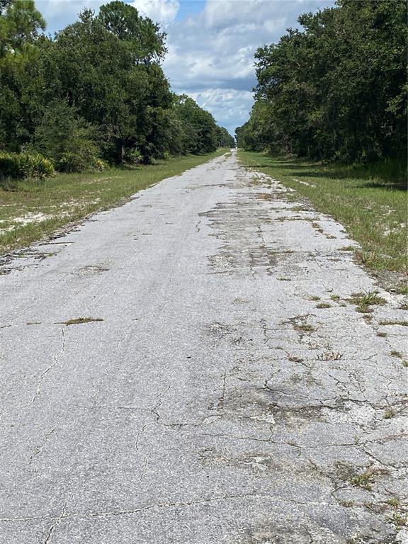 A long, cracked asphalt road stretches through a wooded area under a cloudy sky — 0 OLEANDER DRIVE, INDIAN LAKE ESTATES, FL