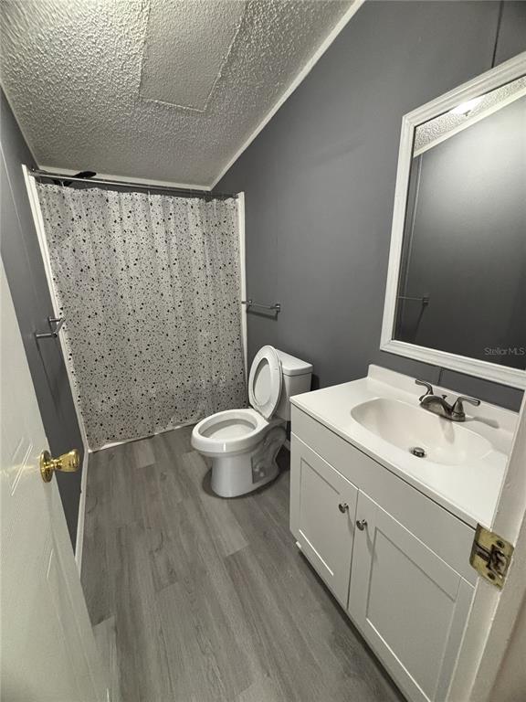 A bathroom features gray walls, white vanity, wood-look flooring, and a shower with a patterned curtain — 16564 SE 103RD AVENUE ROAD, SUMMERFIELD, FL
