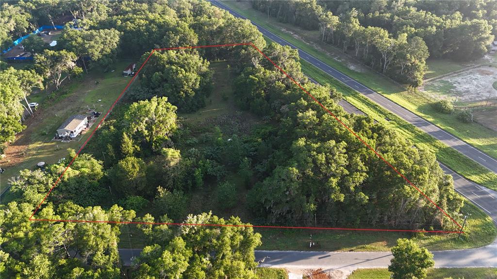 An aerial view shows a wooded, triangular plot of land bordered by a road — 2303 NW 145TH STREET, CITRA, FL