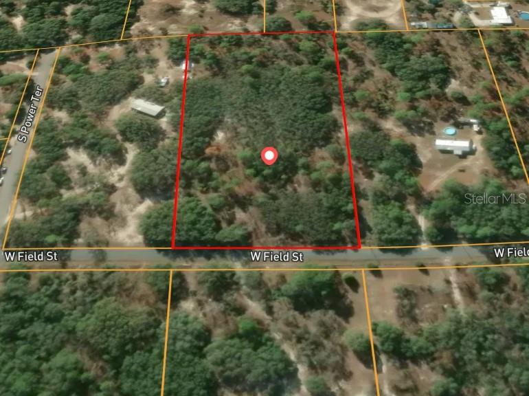 An aerial view shows a rectangular, wooded vacant lot outlined in red along a paved road — 4274 W FIELD STREET, HOMOSASSA, FL