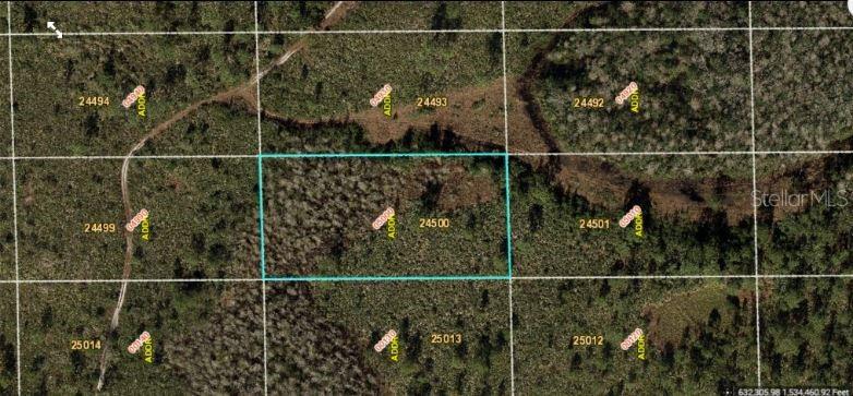 This aerial map shows a rectangular plot of land outlined in blue within a wooded area — DILL ROAD, ORLANDO, FL