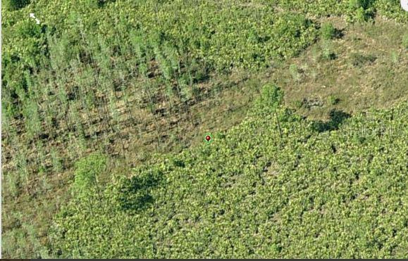 An aerial view shows a plot of land with a mix of trees and brush — DILL ROAD, ORLANDO, FL