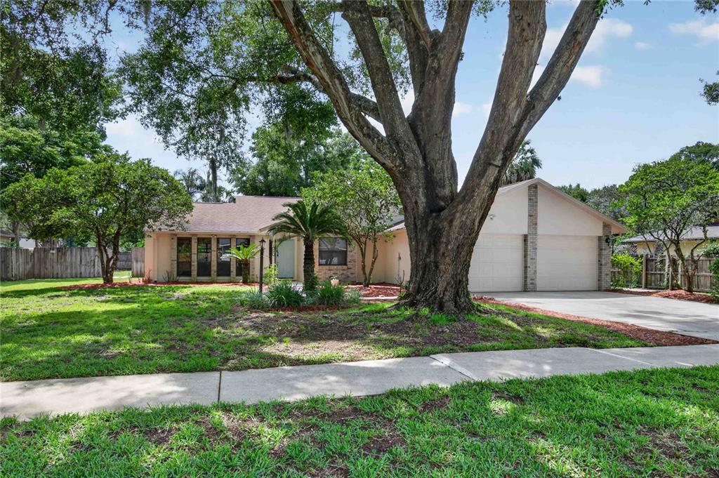 207 PINECREST ROAD, MOUNT DORA, FL — photo 2 of 30