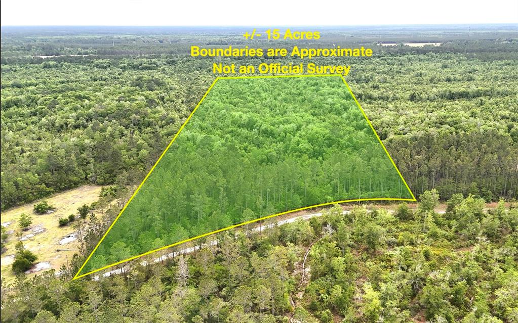 An aerial view shows a wooded plot of land outlined in yellow — SWEET GUM ROAD, GLEN ST MARY, FL