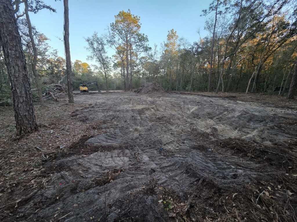A cleared, dirt-covered lot features a yellow construction vehicle and surrounding pine trees — 129 SEMINOLE AVENUE, INTERLACHEN, FL