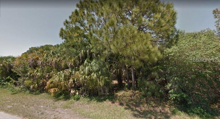 A vacant, wooded lot features a mix of tall pine trees and dense palmetto bushes — 15028 CRESENT AVENUE, PORT CHARLOTTE, FL