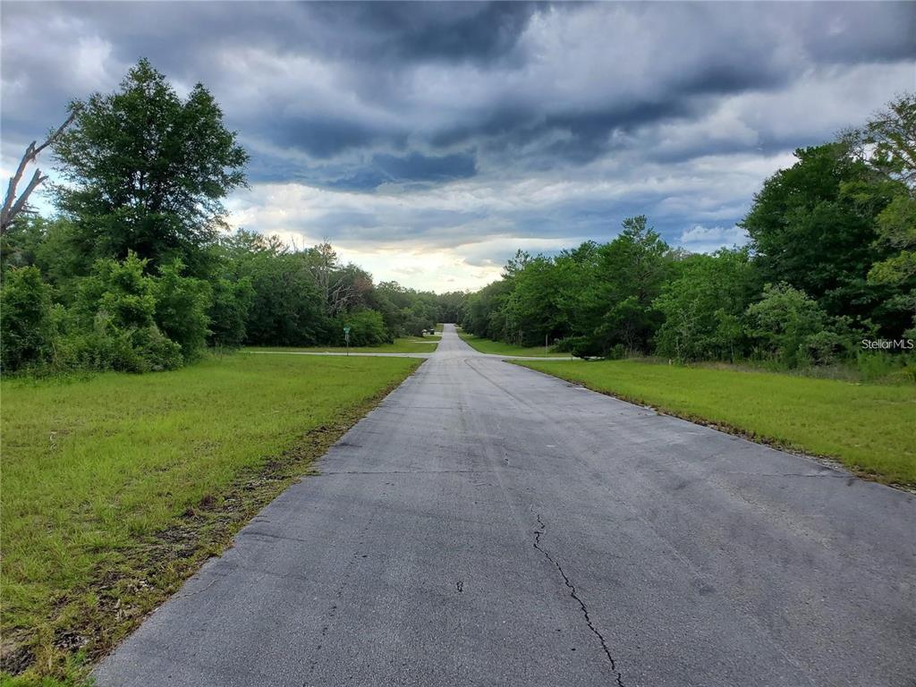 A paved road stretches through a grassy, wooded area under a cloudy sky — 8650 SW 138 LANE, OCALA, FL