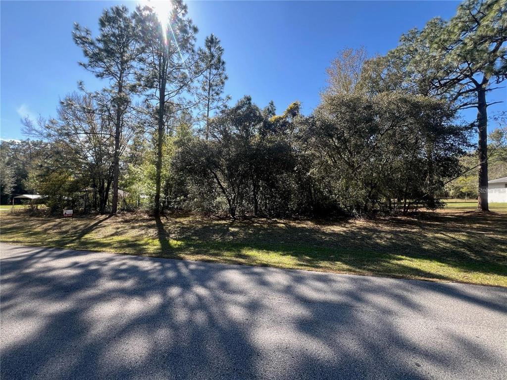 A vacant, wooded residential lot is viewed from an asphalt road under a sunny sky — 00 SW 196TH AVENUE, DUNNELLON, FL