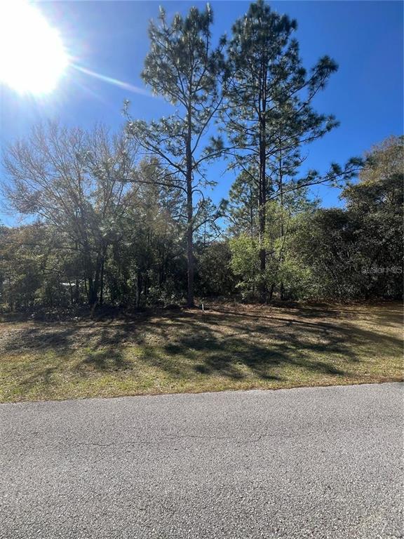 A vacant, wooded residential lot is viewed from an adjacent paved road under a sunny sky — 00 SW 196TH AVENUE, DUNNELLON, FL