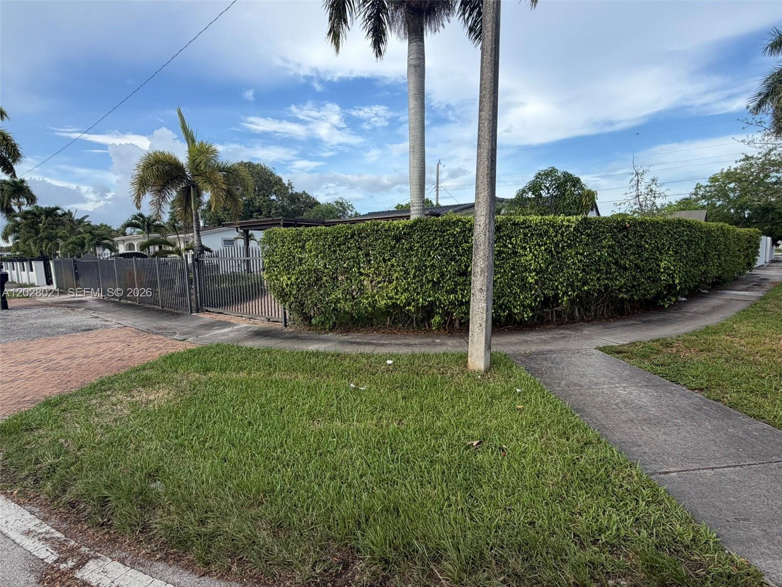 A tall hedge and metal fence surround a residential property with palm trees — MIAMI GARDENS, FL
