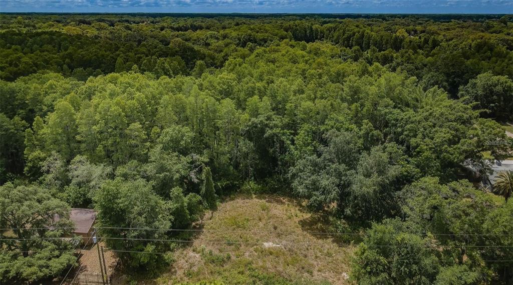 An aerial view shows a cleared grassy lot bordered by dense forest and a house — 10086 HILLTOP DRIVE, NEW PORT RICHEY, FL