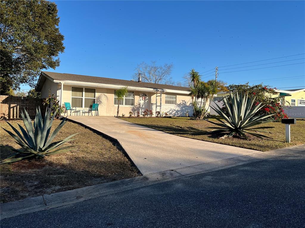 409 CAMELLIA AVENUE