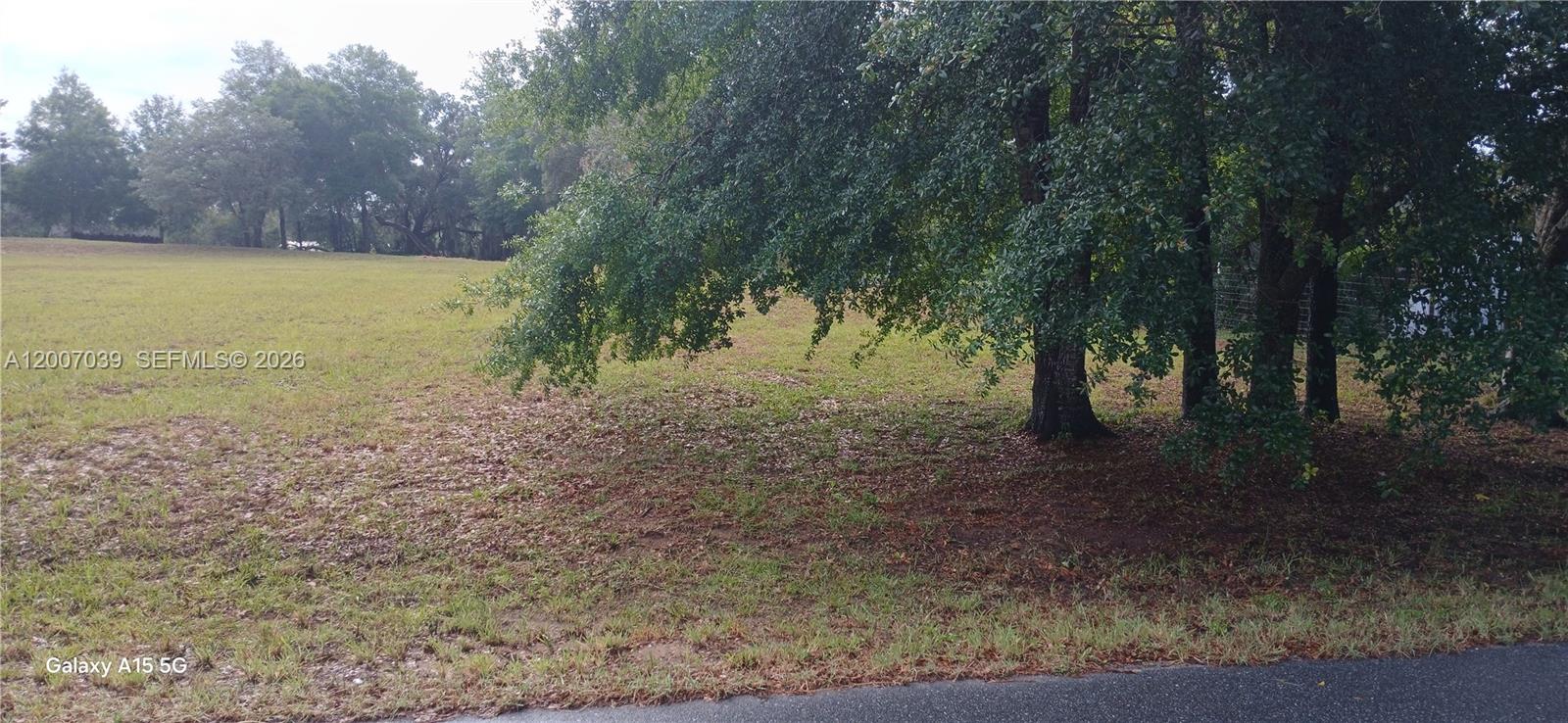10233 S Appaloosa Ave, Other City - In The State Of Florida FL 34436