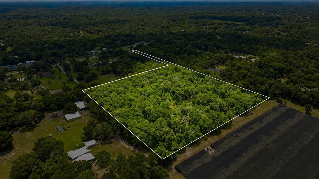 An aerial view shows a wooded plot of land outlined in white — GRAND AVENUE, DELAND, FL