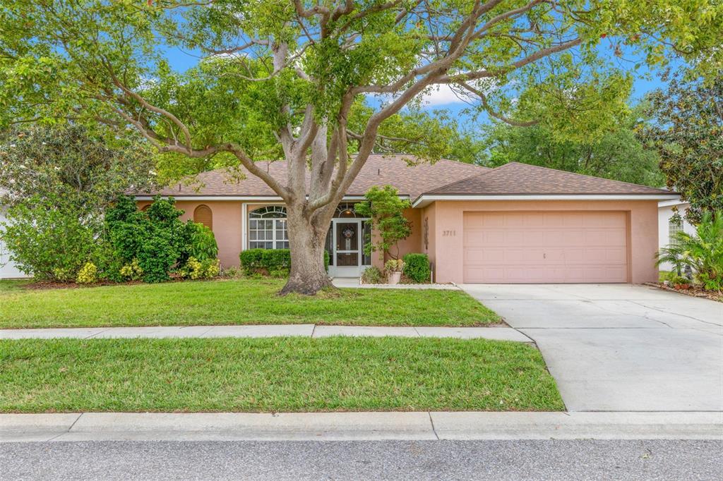3711 PALMAS LANE