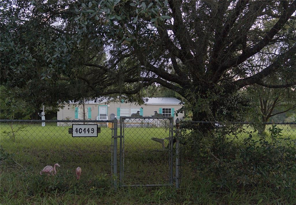 A single-story house sits behind a chain-link fence with a large oak tree in front — 40449 HOLLY BRANCH ROAD, EUSTIS, FL