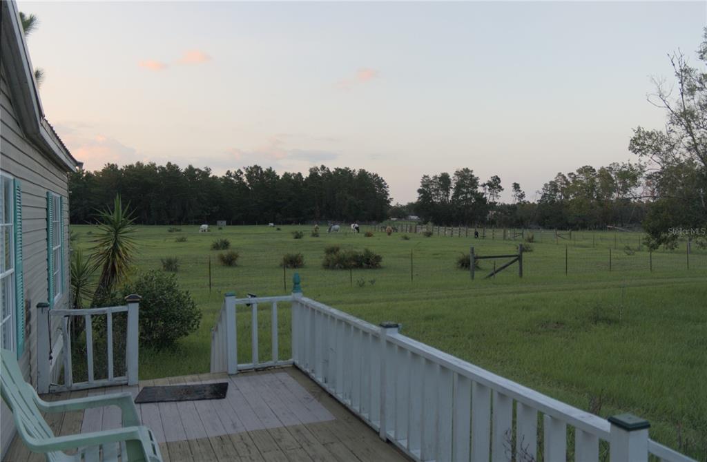 A wooden deck with a white railing overlooks a large, fenced grassy pasture with horses — 40449 HOLLY BRANCH ROAD, EUSTIS, FL