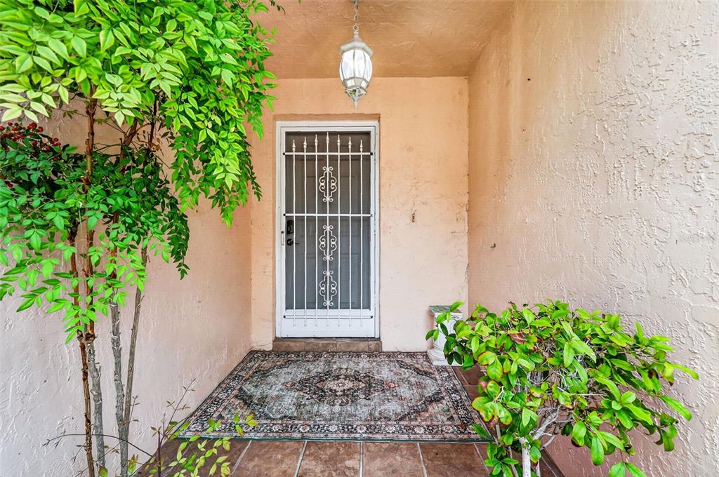 A front entryway features a white security door, a patterned rug, and potted plants — 954 AVALON AVENUE, LADY LAKE, FL