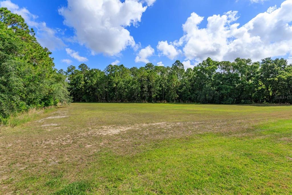 A large, flat, grassy lot is bordered by a dense line of mature trees — 16201 CITRUS PKWY, CLERMONT, FL