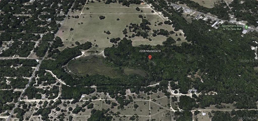 This is an aerial map view of a wooded lot with a pond — 2208 MISTLETOE STREET, INVERNESS, FL